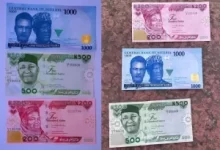 10 Ways To Differentiate Real New Naira Notes From Fake Note
