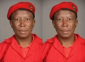 Julius Malema Biography, Wikipedia, Career, Networth, Family, Wife, Age, First Wife, Children, Cars