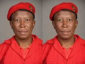 Julius Malema Biography, Wikipedia, Career, Networth, Family, Wife, Age, First Wife, Children, Cars