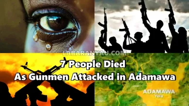 7 People Died And Multiple Casualties As Gunmen Attacked In Adamawa 