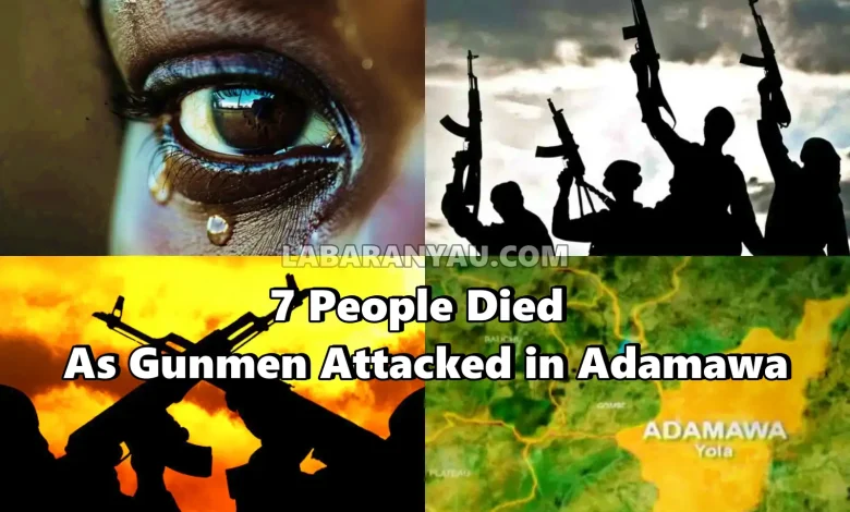 7 People Died And Multiple Casualties As Gunmen Attacked In Adamawa