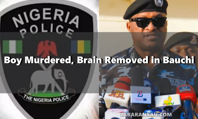 Gruesome Ritual Killing: Boy Murdered, Brain Removed in Bauchi | Friend Narrowly Escapes