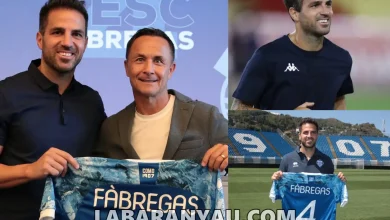 Cesc Fabregas Sign A Deal With Serie B side Como