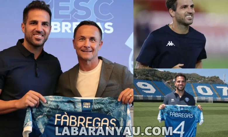 Cesc Fabregas Sign A Deal With Serie B side Como