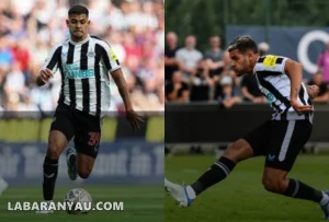Newcastle Snub Chelsea’s Interest
