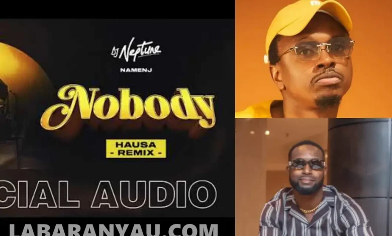Dj Neptune Ft Namenj Nobody (Hausa Remix) Mp3 Download