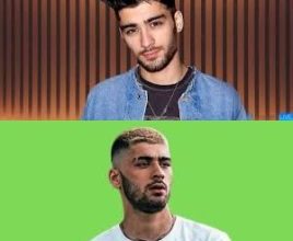 Zayn Malik Biography, Wikipidea, Early Life, Education, Career, Personal Life, Facts, Awards, Nominations, Songs, Albums, Net worth, Parents, Wife, Religion, Father, Married, Daughter, Family