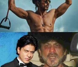 These Are The Top 5 Sharukhan Movies That Everyone Love [1995 to 2023]