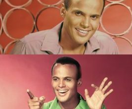 Harry Belafonte Biography, Wikipedia, Age, Legacy and Awards, Networth, Career, Family