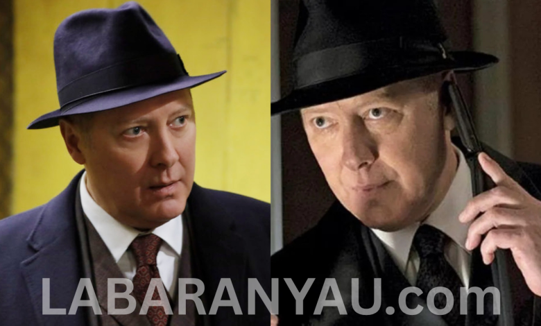 James Spader Biography, Wikipedia, Age, Early Life, Net Worth, Personal Life, Legacy, Movies, Awards, Career, Social Media