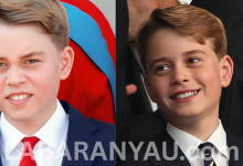 Prince George of Wales Biography, Wikipedia, Age, Early Life, Education, Family Timeline, Royal Duties, Royal Heritage, Net Worth, Parents, Instagram