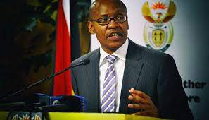 Mzwanele Manyi Biography, Age, Early Life, Education, Place of Birth, Career, Personal Life, Controversies, Qualifications, Contact Details, Net Worth