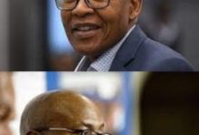 Mzwanele Manyi Biography, Age, Early Life, Education, Place of Birth, Career, Personal Life, Controversies, Qualifications, Contact Details, Net Worth