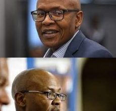Mzwanele Manyi Biography, Age, Life, Education, Place of Birth, Career, Personal Life, Controversies, Qualifications, Contact Details, Networth