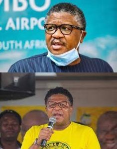 Fikile Mbalula Biography, Early Life, Cars, Salary, Age, House, Net Worth, Personal Life, Qualifications, Contact Details, Wife, Speec, Social Media