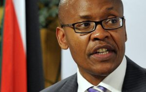 Mzwanele Manyi Biography, Age, Early Life, Education, Place of Birth, Career, Personal Life, Controversies, Qualifications, Contact Details, Net Worth