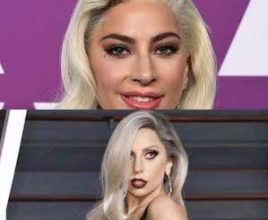 Lady Gaga Biography, Age, Early Life, Family, Career, Personal Life, Songs. Album, Net Worth & more