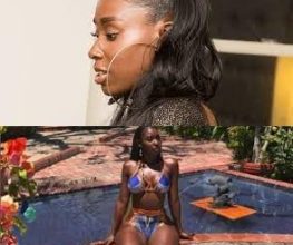 Bria Myles Biography, Age, Early Life, Education, Career, height, weight, Nationality, Relationship, Family, boyfriend, Kid, Professional Life, background, Social Media, YouTube, Net Worth & more