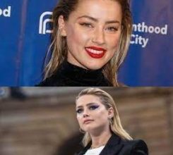 Amber Heard Biography, Age, Education, Early Life, Career, Family Husband, Relationship, Charity, activism, Divorce, Awards, nominations, Personal Life, Film, Net Worth