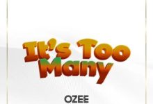 Ozee It s Too Many Mp3 Download