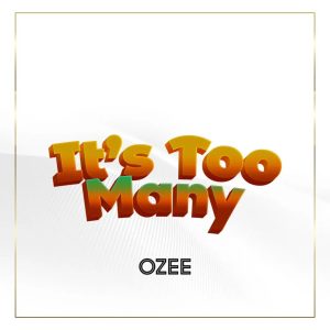 Ozee It s Too Many Mp3 Download
