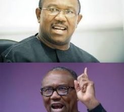 Peter Obi Biography, Wife, News, Early Life, Education, Career, Family, Net Worth, Personal Life, Awards, Honors, Facts, Trivia, Social Media, Age, Cars, Net Worth, House, Campaign, Politics, Contact Number, Party, Children