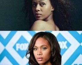 Nicole Beharie Biography, Age, Early Life, Education, Career, Family, Personal Life, Facts, trivia, Awards, Children, Net Worth, Height, Relationship & More