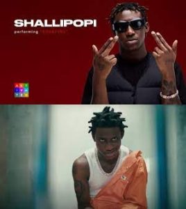 Who Is Shallipopi, Bio , Wiki, Net Worth 2023, Mp3 Download, House, Car, Family, Tribe, Songs, Album, Record Level, State Of Origin