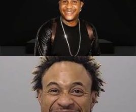 Orlando Brown Biography, Early Life, Education, Career, Personal Life, Facts, Trivia, Awards, Net Worth, Age, Height, Child, Wife, Songs, Photos, Discography, Filmography, Movie
