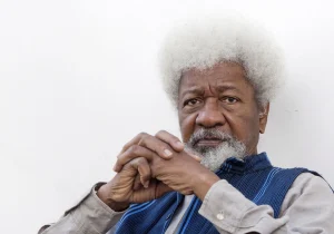10 Best Touching Facts And Life Quotes Of Wole Soyinka