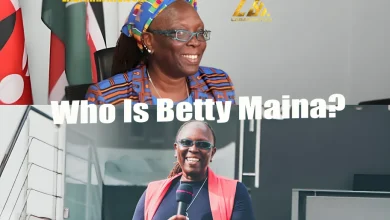 Who Is Betty Maina, Wikipedia, Bio, Net Worth, Family, Age, Marriage, Children, CBS, Politics, Kenya, UN, IEA, CEO