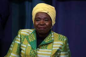 Nkosazana Dlamini-Zuma Personal life