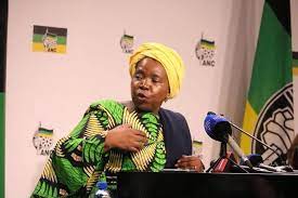 Nkosazana Dlamini-Zuma Net Worth