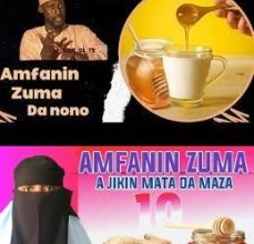 Amfanin Zuma Da Nono Daga Albani Zaria 