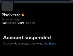 Pexelverse X Account