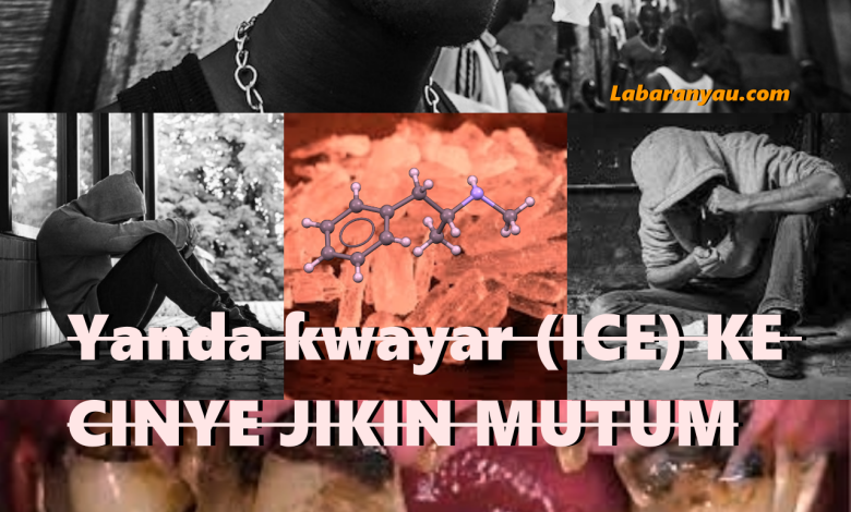 ILLOLIN Ƙwayar ICE (Ƙanƙara): Ko Baka Sha Yakamata Ka Santa, Ka Gane Me Shanta