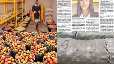 How Smart Actions Led NYSC Corper ‘Gladys Adija Markus’ to Success