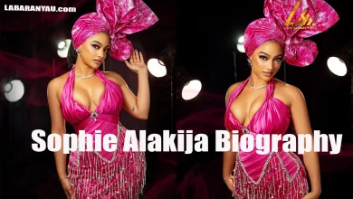Sophie Alakija Biography, Wikipedia, Date of Birth, Age, Early Life, Education, Career, Personal Life, Net Worth, Controversies, Filmography, Trivia, Social Media, Instagram