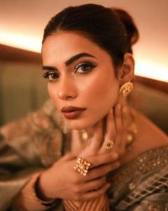 Nagma Mirajkar Biography, Wiki, Age, Height, Life Story, Boyfriend, Husband, Family, Instagram Photos and Videos